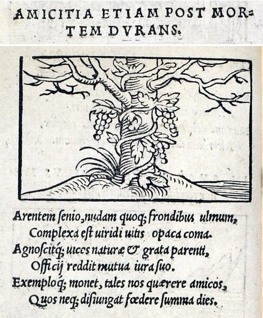Gravure sur bois : une vigne chargée de raisins s’enroule autour d’un arbre mort.